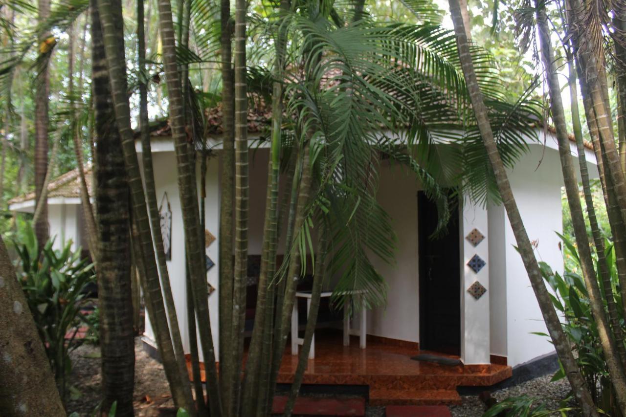 Mint Inside Garden Apartment Varkala Bagian luar foto